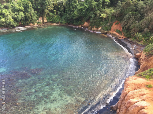 Dominica Cove