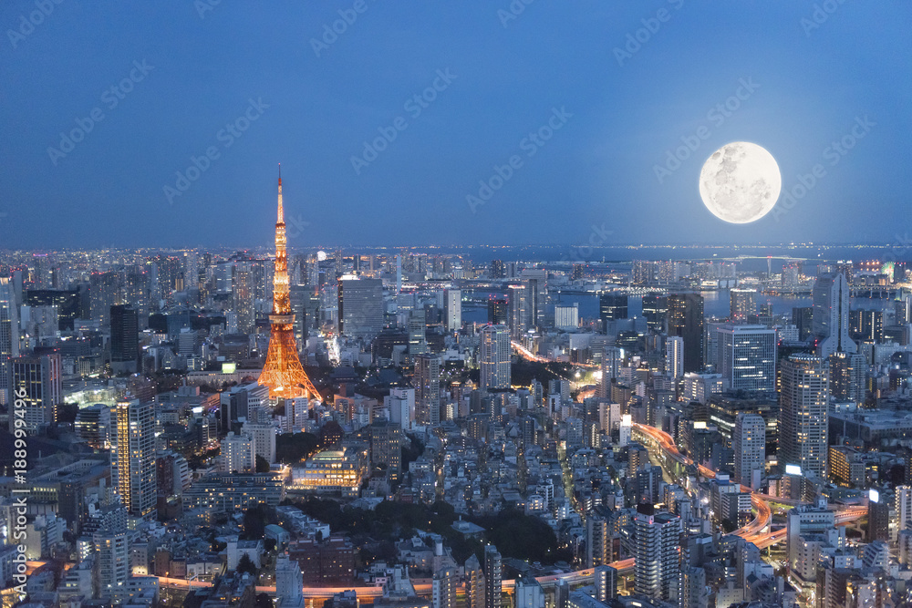 Fine art Tokyo tower night with full moon