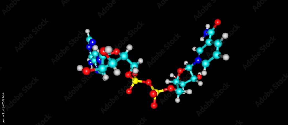 Nicotinamide adenine dinucleotide molecular structure isolated on black