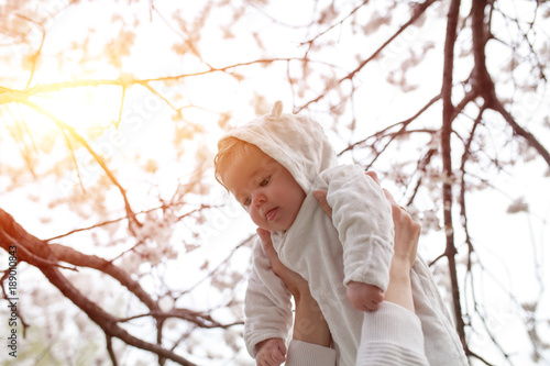 Happy family. mother hands throws up child in the blooming apple trees, on sunny day in the park. Positive human emotions, feelings. Cherry and apple blossom. Spring time. photo