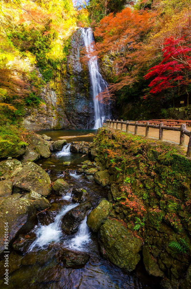 Fototapeta premium pionowy obraz pięknego wodospadu Minoo w kolorowym jesiennym sezonie w Minoo Park, Osaka, Japonia