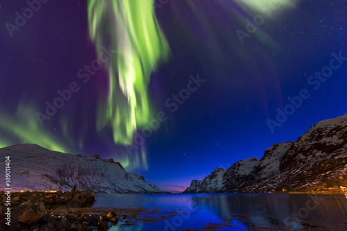 The polar lights in Norway . Ersfjord.Tromso © belov3097