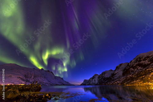 Fototapeta Naklejka Na Ścianę i Meble -  The polar lights in Norway . Ersfjord.Tromso