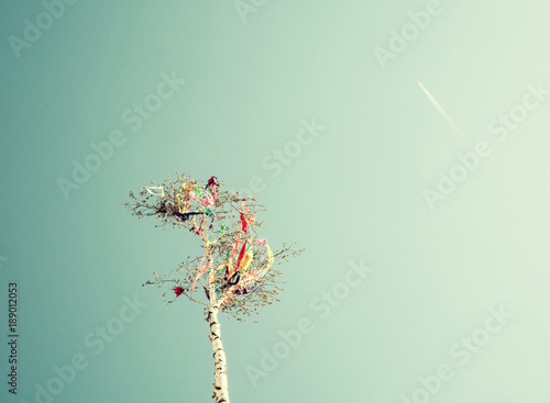 Looking up at may pole and aircraft, old filter