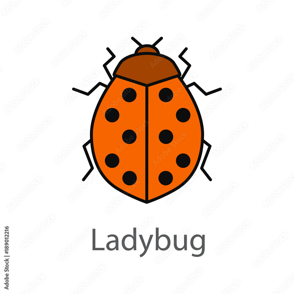 Obraz premium Ladybug color icon