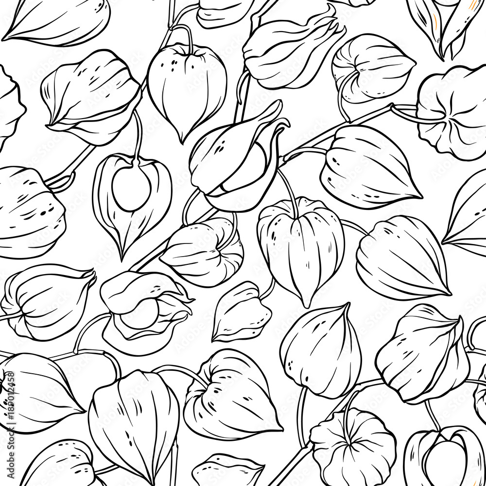 phisalis seamless pattern phisalis seamless pattern