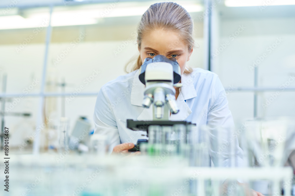Portrait of young female scientist looking in microscope while working on medical research in science laboratory, copy space - obrazy, fototapety, plakaty 