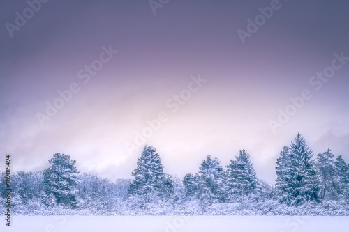 Snowy winter landscape at early morning with pine trees, clear purple sky and lots of copy space © Gaschwald