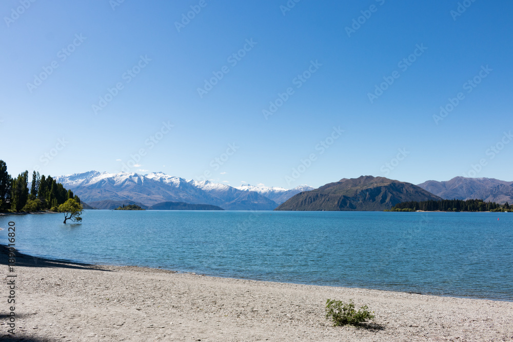 New Zealand Lake Wanaka landscape with mountains tree and flower