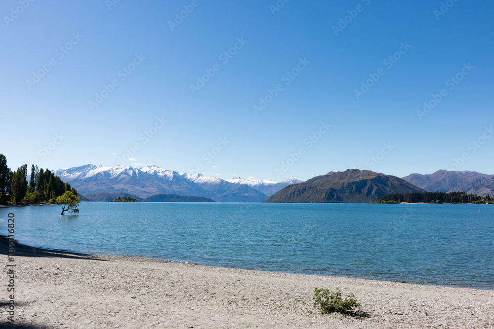 New Zealand Lake Wanaka landscape with mountains tree and flower New Zealand Lake Wanaka landscape with mountains tree and flower