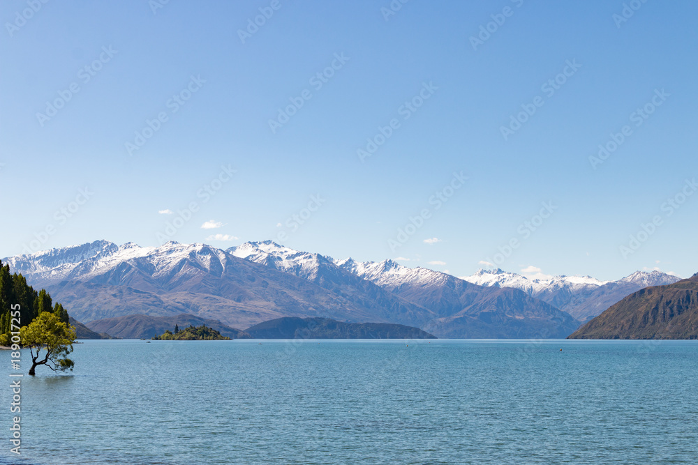 New Zealand Lake Wanaka landscape with mountains tree and flower New Zealand Lake Wanaka landscape with mountains tree and flower