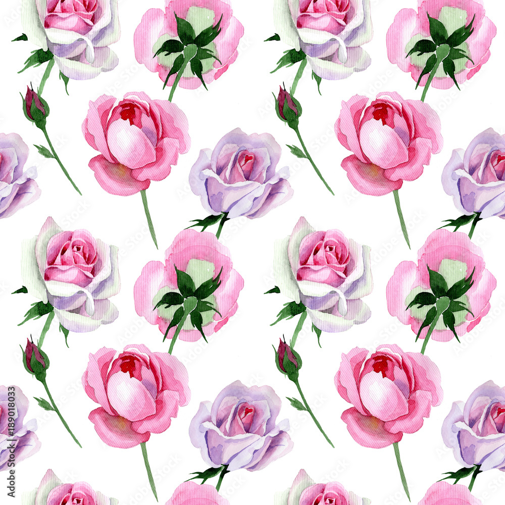 Wildflower tender pink rose flower pattern in a watercolor style. Full name of the plant: tender pink rose, hulthemia. Aquarelle wild flower for background, texture, wrapper pattern, frame or border. Wildflower tender pink rose flower pattern in a watercolor style. Full name of the plant: tender pink rose, hulthemia. Aquarelle wild flower for background, texture, wrapper pattern, frame or border.