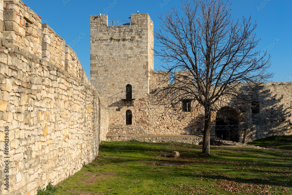 Walls and leafless trees of famous Kalemegdan castle in Belgrade