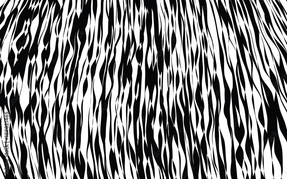 Black and White Wave Stripe Optical Abstract Background Black and White Wave Stripe Optical Abstract Background