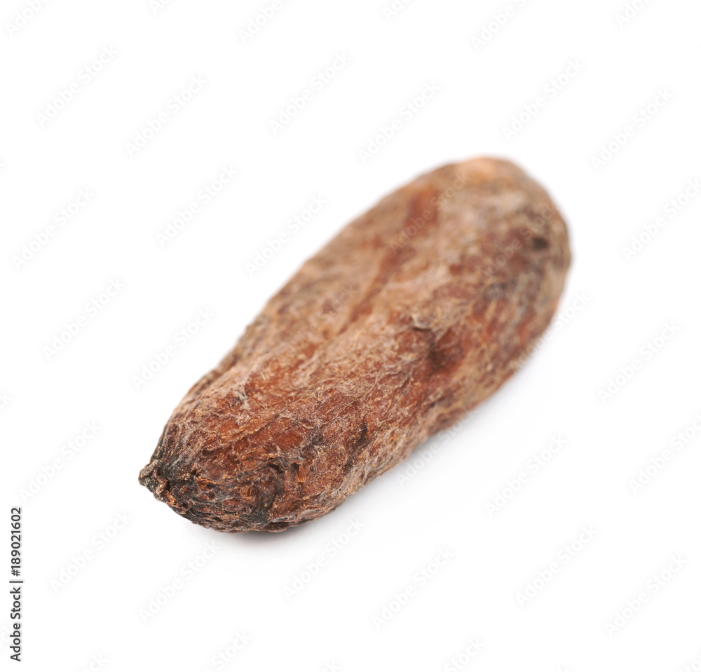 Single cocoa bean isolated Single cocoa bean isolated
