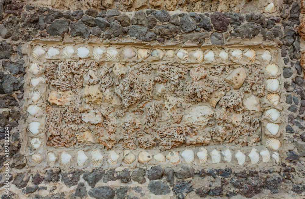 original rectangle of seashells and marine sponges on a stone wall /geometric composition with shells and marine sponges