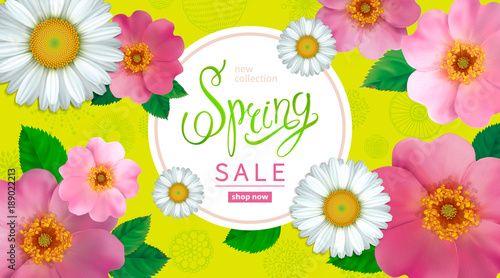 Spring sale background with flowers rose hips and chamomile, abstract hand drawn elements. Design for greeting cards, banners, calendars, posters, invitations.