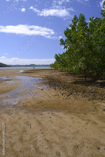 Priel in den Mangroven auf der Insel Nosy Be in Madagaskar  photo