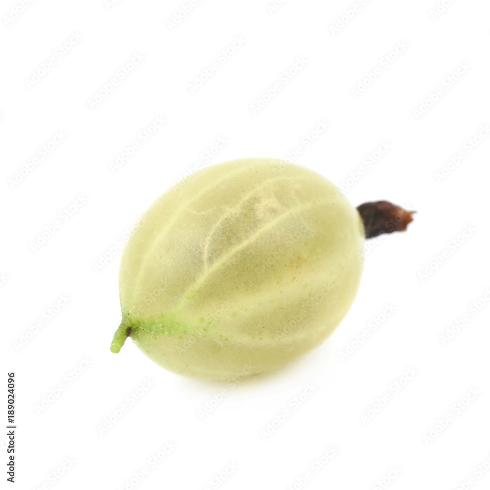 Single gooseberry isolated Single gooseberry isolated
