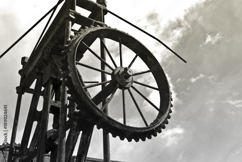 Fototapeta premium Ruota dentata