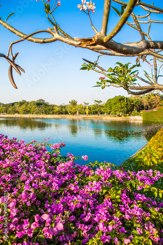 Flowers in the garden and lake on blue sky