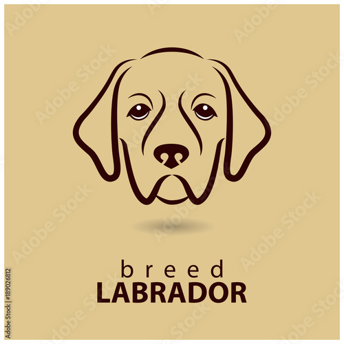 Vector Labrador icon