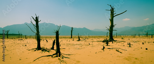 Cape Town Drought 