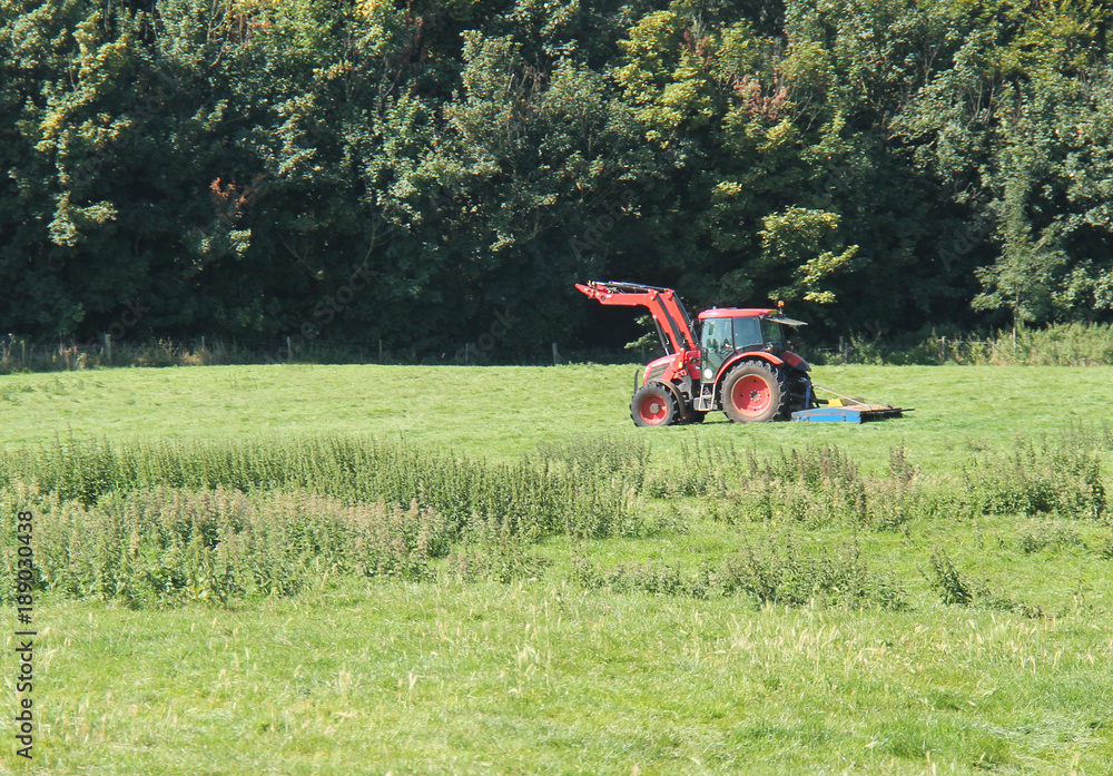 Obraz premium An Agricultural Farm Tractor Cutting the Grass in a Field.