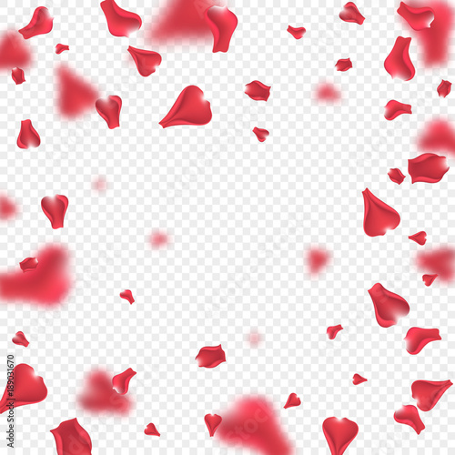 Flying pink rose petals with blur effect. Transparent background. Vector illustration.