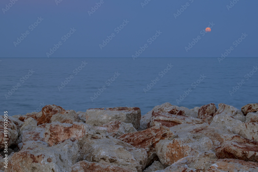 custom made wallpaper toronto digitalSuper moon in the summer