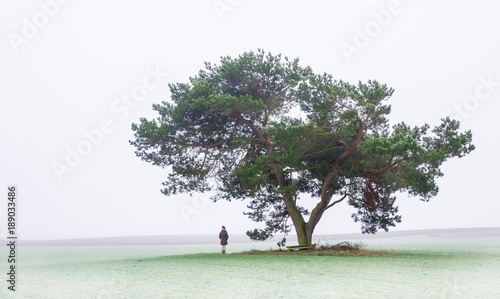 a lonely woman stands under a tree on a field in the fog  