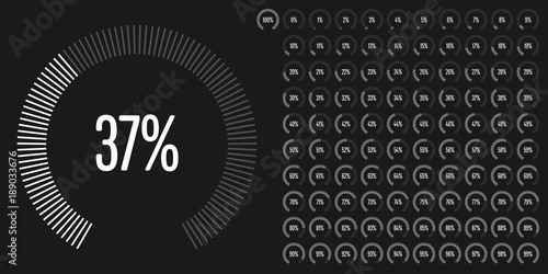 Set of circular sector percentage diagrams from 0 to 100 ready-to-use for web design, user interface (UI) or infographic - indicator with white