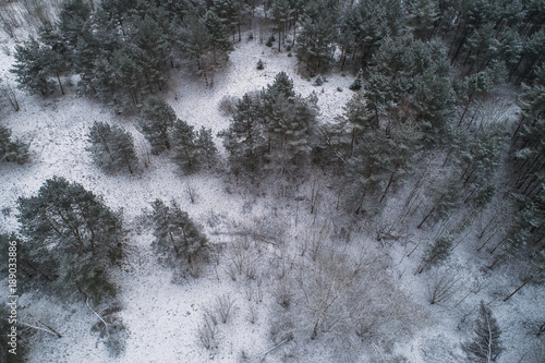 Aerial view over frosty tree tops in capital city Vilnius, Lithuania. During cold winter season daytime.