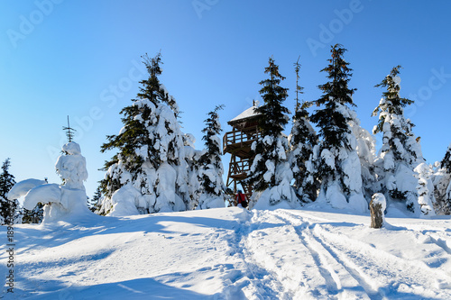 zimowy krajobraz ze śniegiem na drzewach