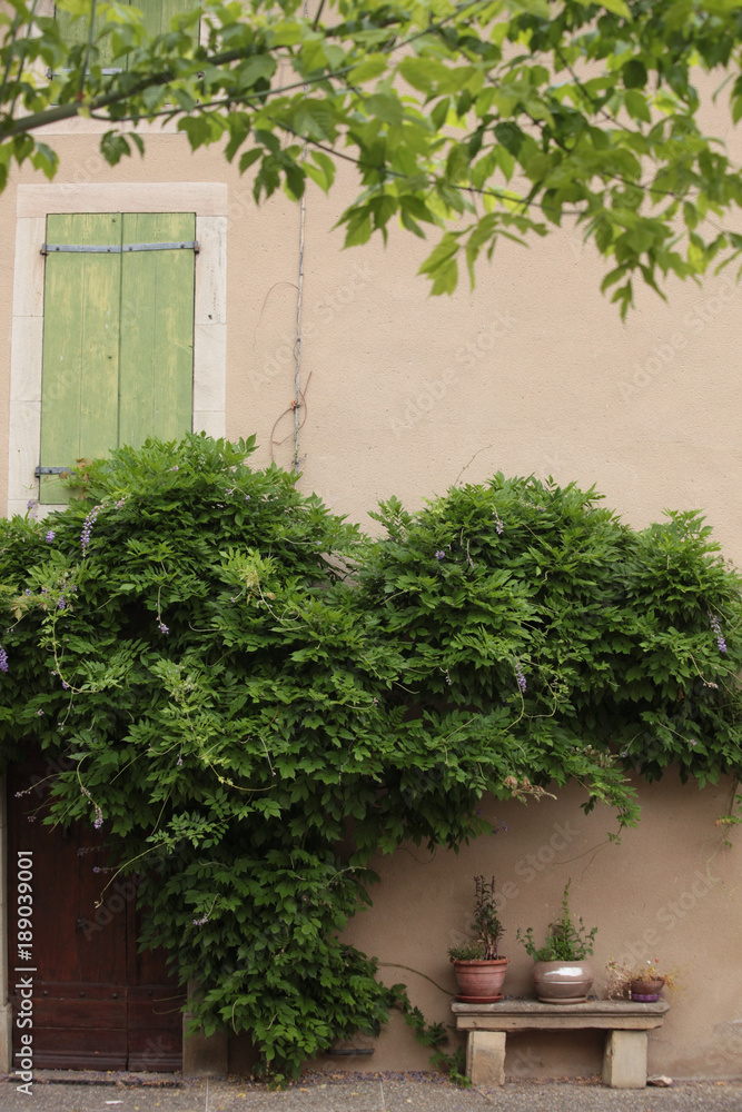 Very picturesque french stone cottage facade, with door way entrance and shutters partly obscured by hanging plant