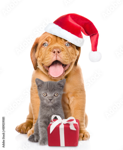 Happy puppy in red santa hat and small kitten sitting together with gift box. isolated on white background © Ermolaev Alexandr