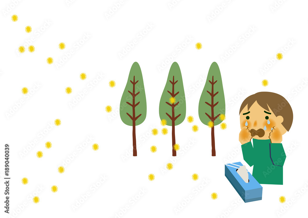 スギ花粉と花粉症の人物のイラスト Stock ベクター Adobe Stock