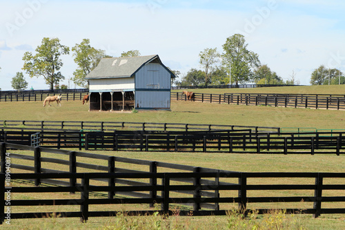 Horses grazing in a pasture with an old barn and wood fencing in the Kentucky Bluegrass region. photo