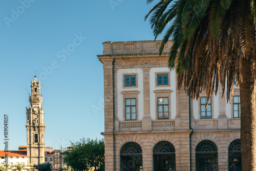 Scene from Porto with Palm tree and Clerigos Tower photo