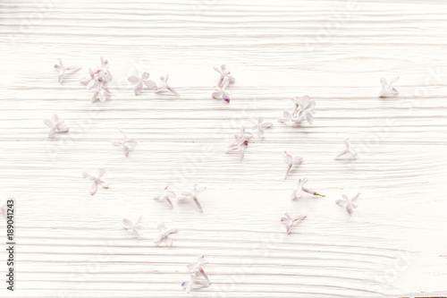 hello spring image. beautiful tender lilac flowers and petals in light on white wooden rustic background top view. happy earth day. greeting card. space for text. happy mothers day