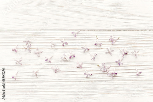 hello spring image. beautiful tender lilac flowers and petals in light on white wooden rustic background top view. happy earth day. greeting card. space for text. happy mothers day