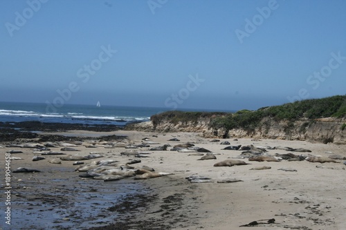 Wallpaper Mural IMG_9613 Torontodigital.ca