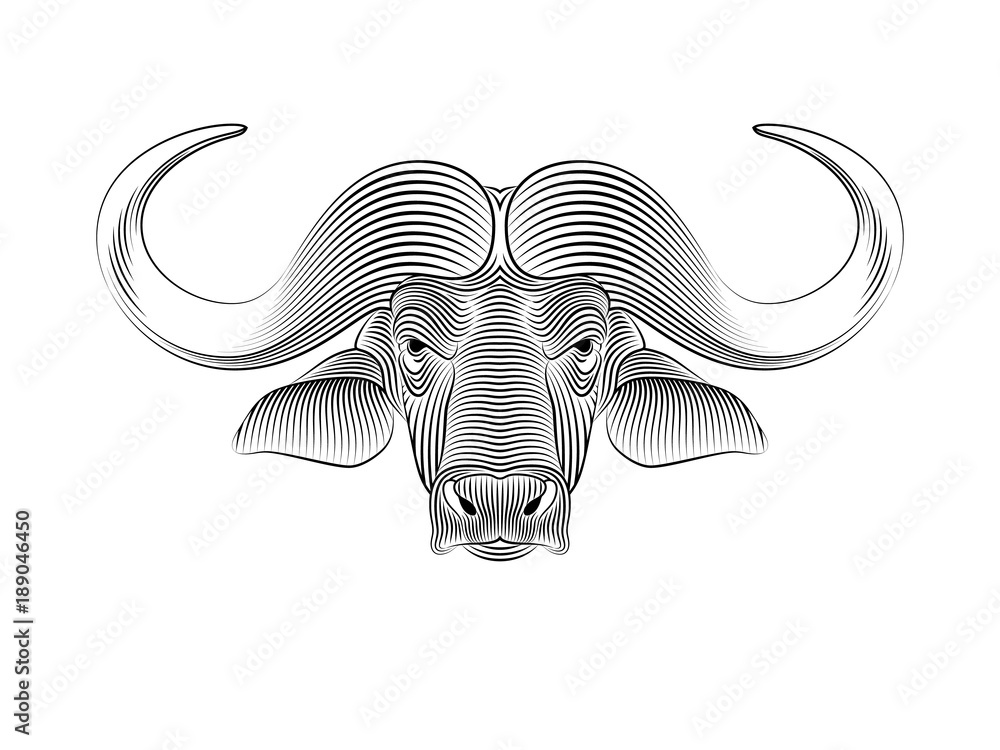Obraz premium Graphic print of African buffalo. White background.
