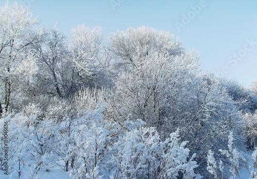 A beautiful winter landscape. © NADEZHDA