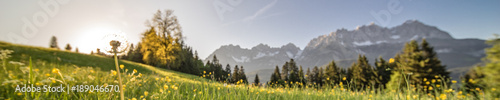eine Pusteblume im Panorama mit den Bergen im Hintergrund photo