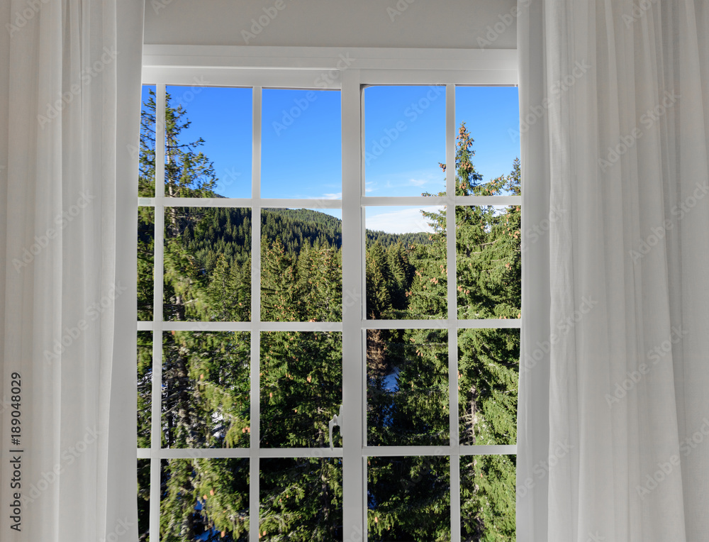 Fototapeta premium view from the window on the