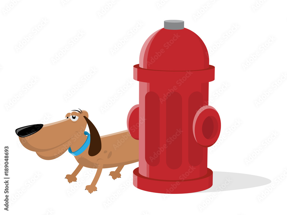 Why Do Dogs Like To Pee On Fire Hydrants