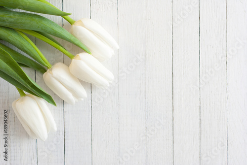 White tulips