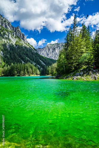 das speziell Grüne Wasser vom grünen See