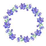 Wreath.Watercolor illustration with crocus or saffron on a white background.bouquet of purple flowers.Can be used as greeting cards, wedding invitations, birthday, spring or summer holiday.